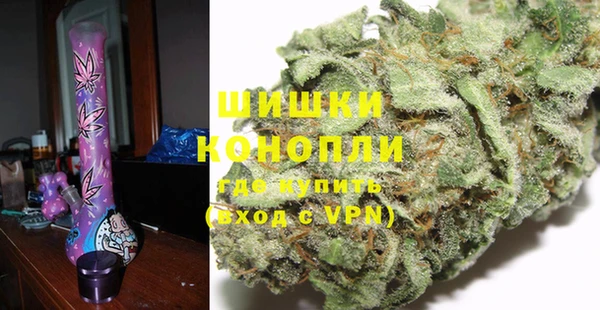 дурь Белокуриха