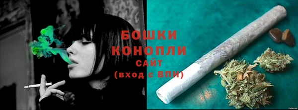 дурь Белокуриха