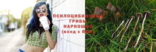 дурь Белокуриха