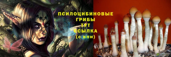 дурь Белокуриха